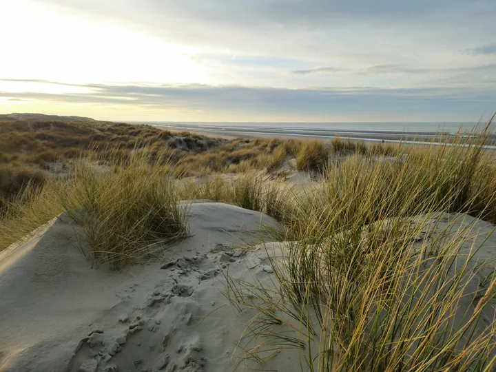 Oostnieuwkerke duinen wandeling in de koude (België)